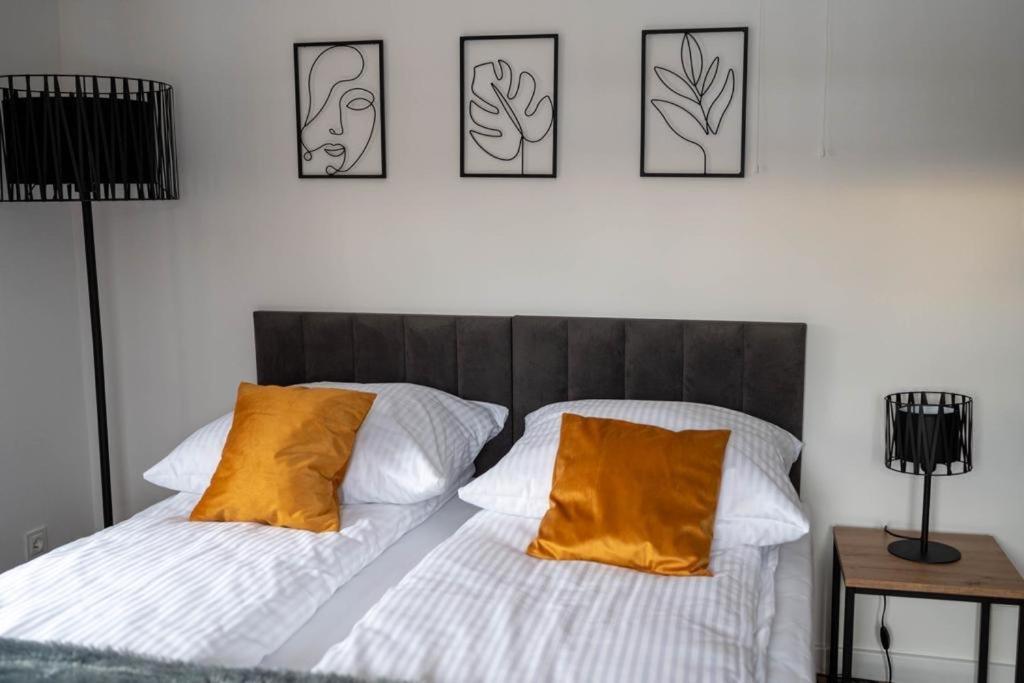 Apartament Nad Szczawniczkiem Muszyna Extérieur photo